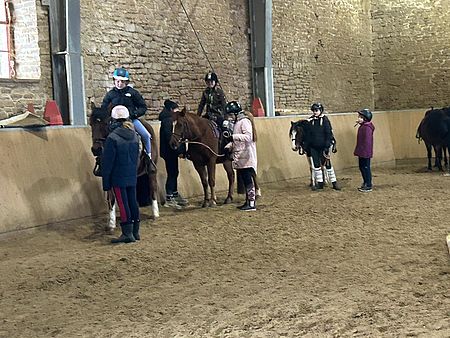 Mehrere Kinder auf und neben Pferden in einer Reithalle